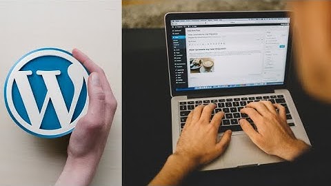 Master WordPress: The Complete Beginner