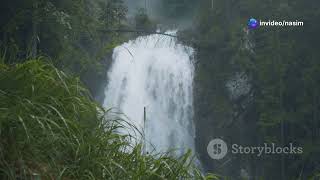 Ecoverse A Green Universe For Nature Lovers