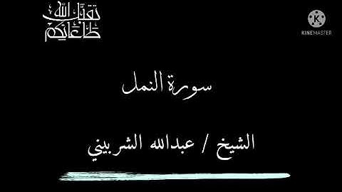 ولوطا إذ قال لقومه أتأتون الفاحشة وأنتم تبصرون || ما تيسر من سورة النمل الشيخ عبدالله الشربيني