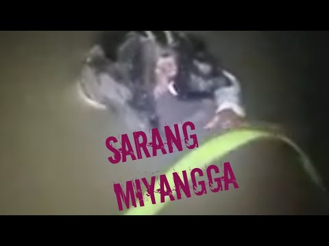 ?Live Misteri || Pencarian Teamm Terserang,,,