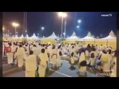 اهناسيا المسيد الابيض بني سويف