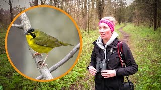 We Started Using Binoculars for Birding (At The Perfect Time!)