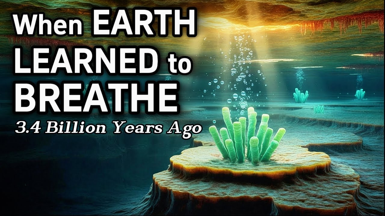 The Secret Life of Microbes That Made Earth Habitable