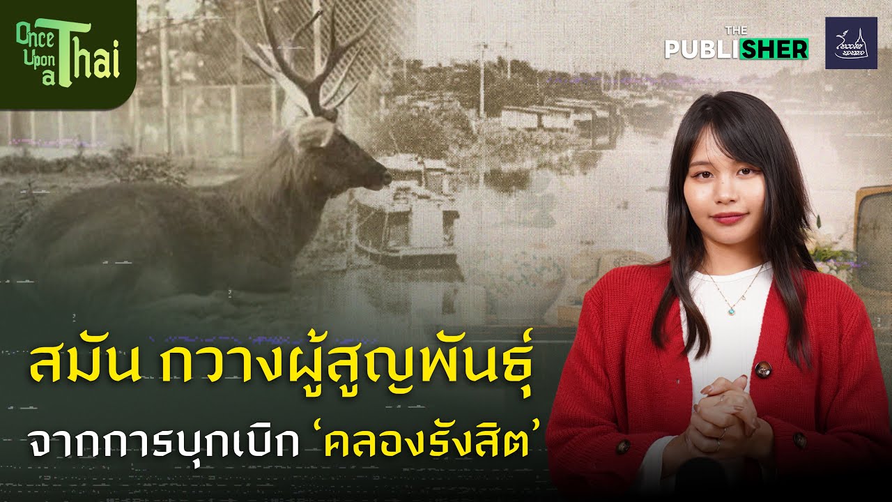 Sambar deer: An extinct deer species resulting from the exploration of 'Rangsit Canal' | Once Upo...