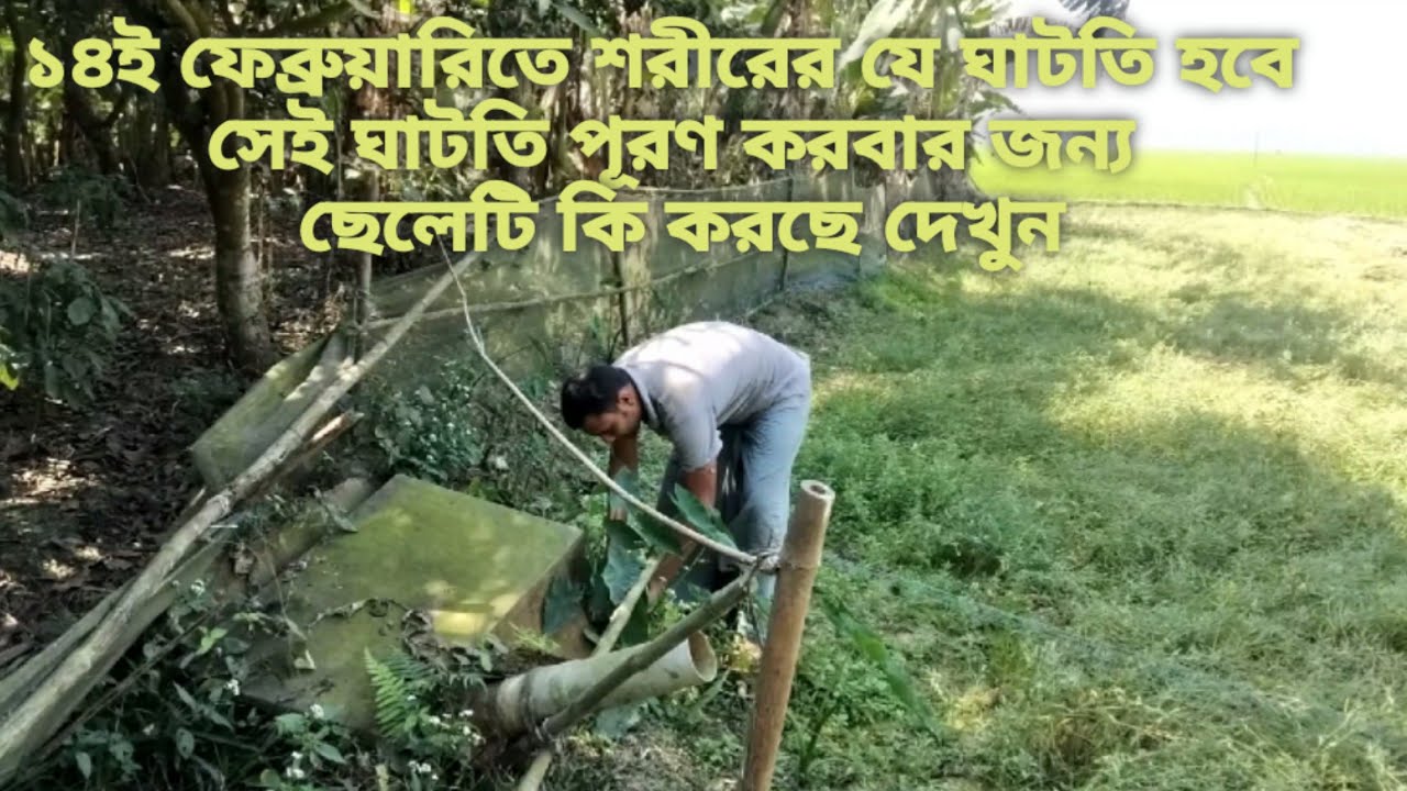 On The 14th Day Of February I Will Eat Kachu Ghati To Fill The on-the-14th-day-of-february-i-will-eat-kachu-ghati-to-fill-the