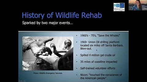 Wild Care's Stephanie Ellis 2022 Wildlife Rehabili...