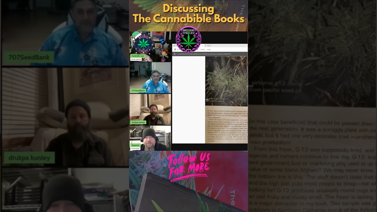 G13-Airborne; Pacifica - Обзор Cannabible