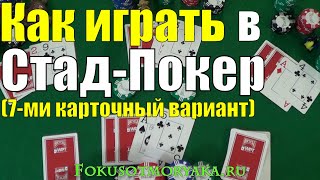 HOW TO PLAY 7 CARD STUD POKER / STUD POKER RULES