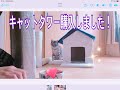 キャットタワーお家付き組み立てました。