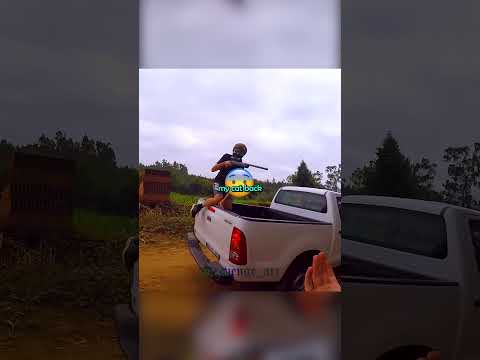 لقد سرقوا قطته