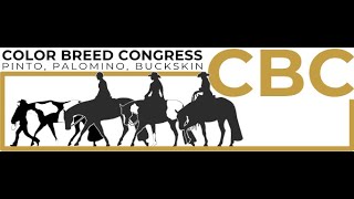 2025 Color Breed Congress Show Sunday November 2nd - Mustang ARENA