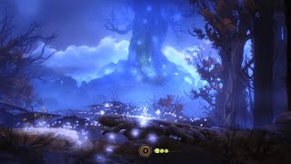 How to download Ori and the Blind Forest for Free | Ori and the Blind Forest를 무료로 다운로드하는 방법