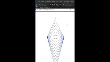 Illusion Drawing using Python Turtle - python Tutorial #shorts  #coding #tech