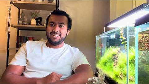 Wordpress Theme and React Developer - Upwork Profile video