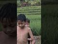 numpang lewat y🙏#suasanapesawahan#kampunghalaman#sorotan#like#rame#shortvideo#youtubeshorts