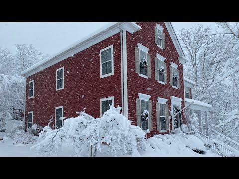 Video: Snowflower virginian: beskrivning med foto, distributionsområde, avelsnyanser, skötselegenskaper och avelsregler