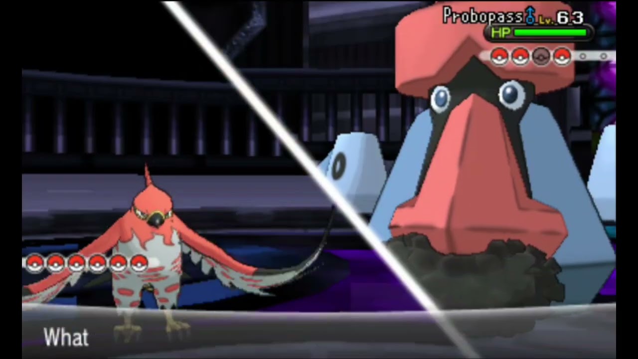 PKMN Y Elite 4 Member Wikstrom