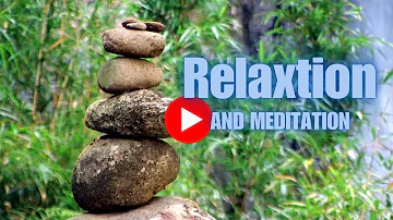 🌿 Ultimate Relaxation & Meditation 🌊 | 60-Minute Healing Sounds by Waterfall | NTouch Body Work