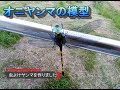 オニヤンマの模型を作ろう