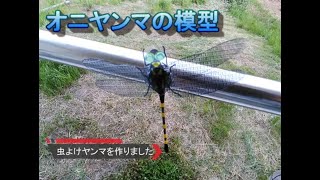 オニヤンマの模型を作ろう