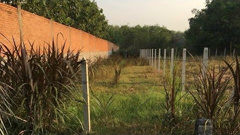 Đất thổ cư Mt đường nhựa gần Thị Trấn Củ Chi | Dt 5m x 46m