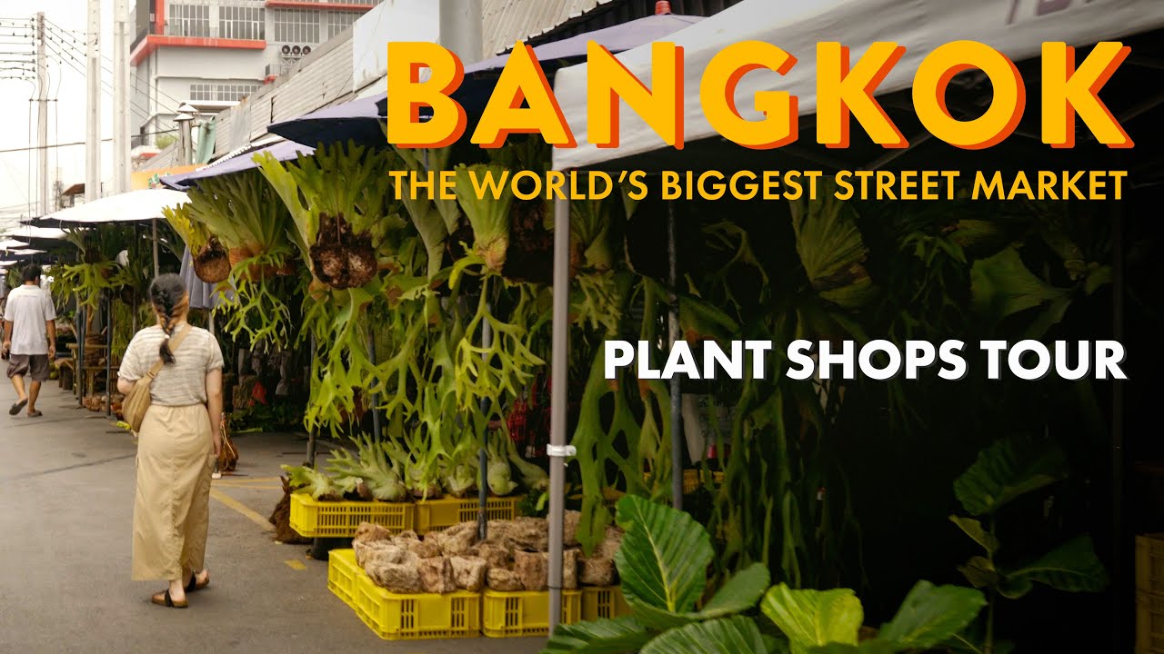 Экскурсия по самому большому уличному рынку в мире | Рынок выходного дня Чатучак 🌱