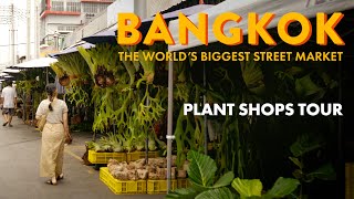 World's BIGGEST Street Market Plant Tour | Chatuchak Weekend Market