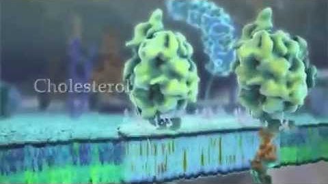 Do You Know How Complex A Single Cell Is? | Today