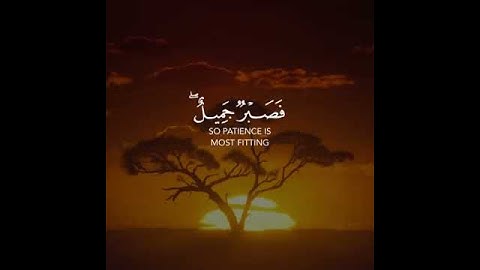 مقطع قصير من سورة يوسف | فَصَبرٌ جَميلٌ _القارئ إسلام صبحي 🌿(راحة لا توصف) "💙