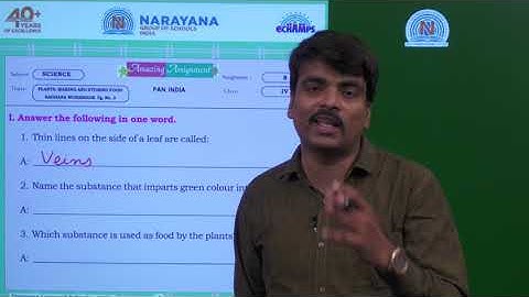 22ND JUL PAN INDIA CLASS IV SCIENCE ASSIGNMENT  KEY