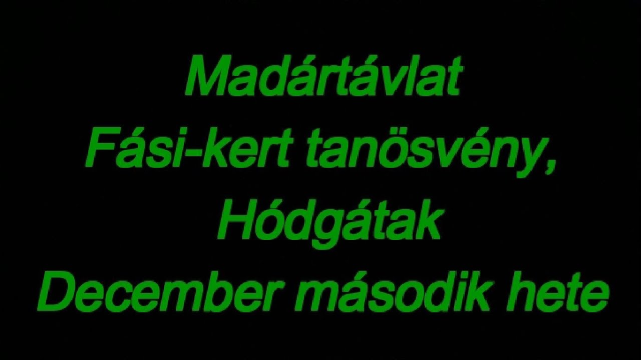 mad-rt-vlat-f-si-kert-tan-sv-ny-h-dg-tak-december-2-hete-youtube
