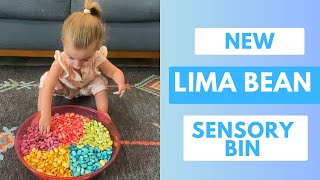 Freya’s favorite toy | Lima bean sensory bin