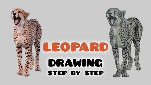 How to Draw a Realistic Leopard 🐆 | Step by Step Pencil Drawing Tutorial