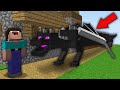 Minecraft NOOB vs PRO: HOW NOOB GROWED THIS LONG DRAGON SIZE OF A VILLAGE ? 100% trolling