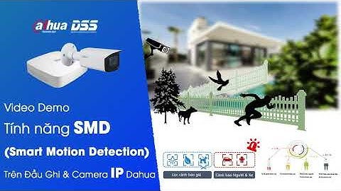 Demo Tính Năng SMD Smart Motion Detection Trên Đầu Ghi & Camera IP Dahua