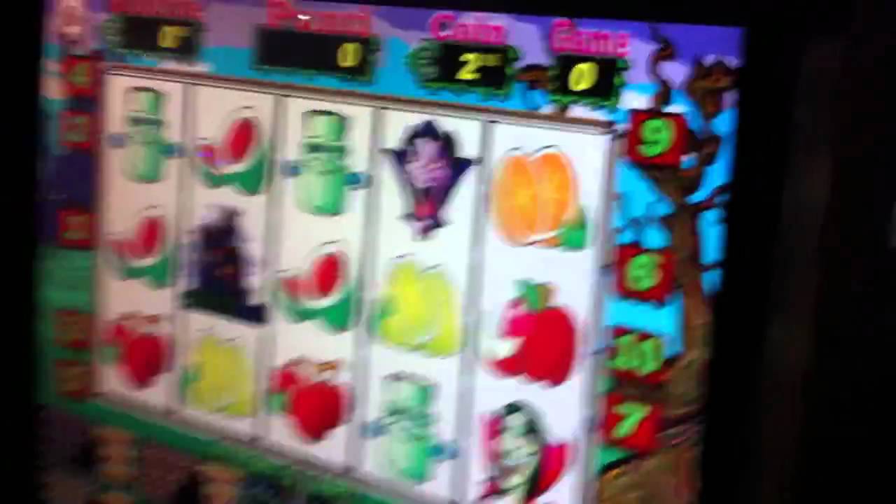 Slot gratis online Taco Brothers Slot gratis online Taco Brothers