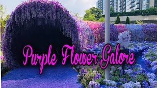 Purple Flower Galore at Harbour North Hongkong by Mai Labs 227 views 3 years ago 11 minutes, 4 seconds
