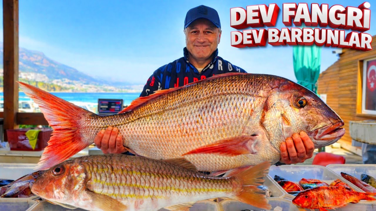 Рыбный аукцион (Карабурун) 06.03.2026 Широкоэкранный