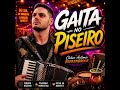 Gaita no Piseiro — Cleber Antonio Berkenbrock