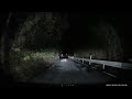 イノシシと遭遇🐗