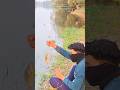 Hand fishing Tilapia like a pro! #tilapia #fishingvideo #fishing
