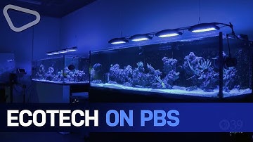 EcoTech Marine on PBS