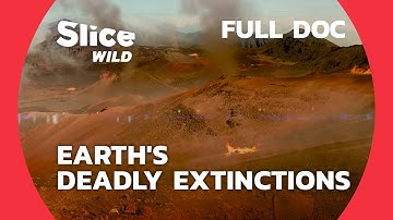 Surviving Earth