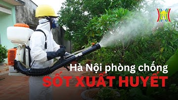 Phòng, chống sốt xuất huyết từ cộng đồng | Tin NÓNG nhất hôm nay
