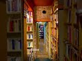 Paraíso 📚🌷✨ #books #livres #livros #readers #lecteurs #leitores #shortvideo #literatura