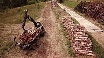 Robot Tree Cutter working in forest