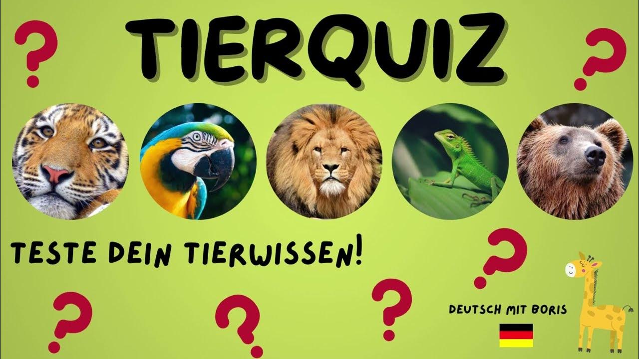 Quizfragen Tiere Mit Lösungen Zum Ausdrucken Tierquiz 👀- Teste dein Tierwissen! 🐅🐘🐼🦜🦓- Deutsch mit Boris 🇩🇪🦒 - YouTube