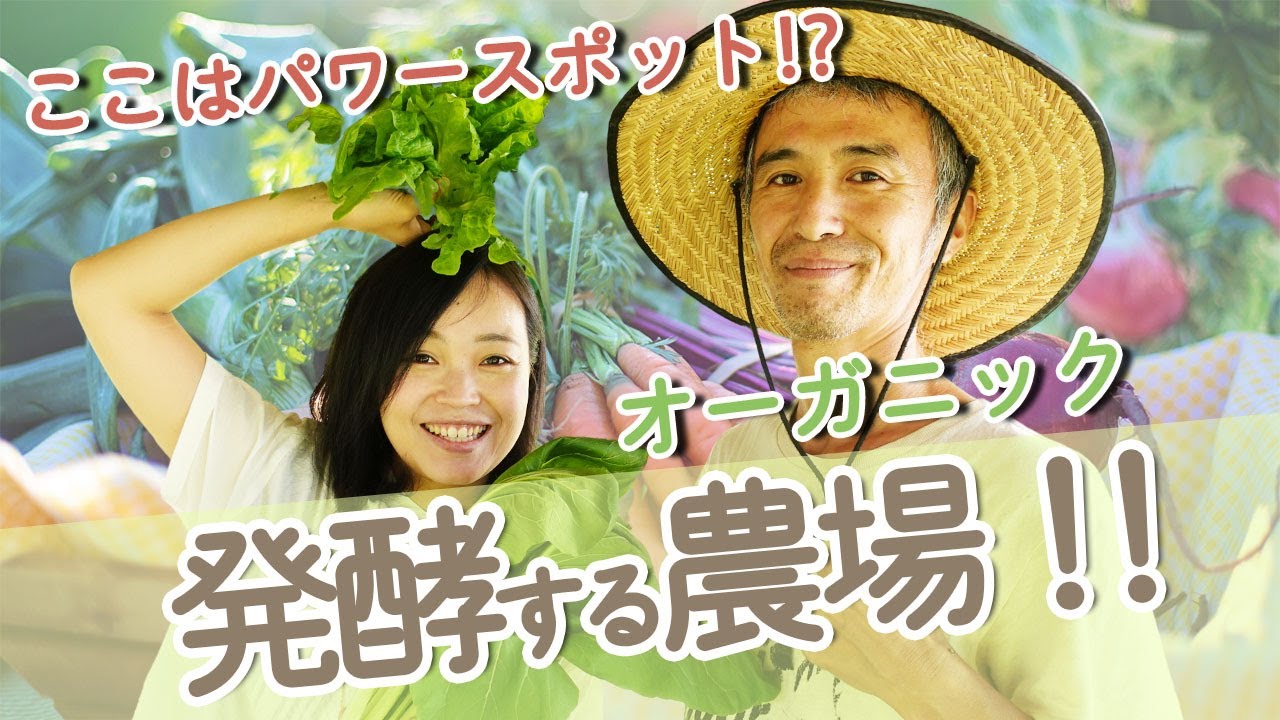 【究極の癒し農場】微生物たっぷりのEM発酵液まみれの畑！　誰でも参加OK　有機栽培の農場体験ができる！　暮らしの発酵ライフスタイルリゾートホテルの自社農園「サンシャインファーム」