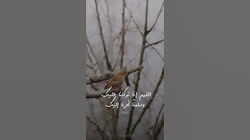 قرآن كريم بصوت خاشع ❤🌿 القارئ عبدالعزيز الزهراني  | حالات واتس اب دينية قصيرة 🎧💙