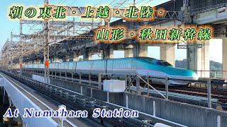 【 通過集 朝唯一のE4系16両運用も!!】 埼玉ニューシャトル沼原駅 新幹線通過集